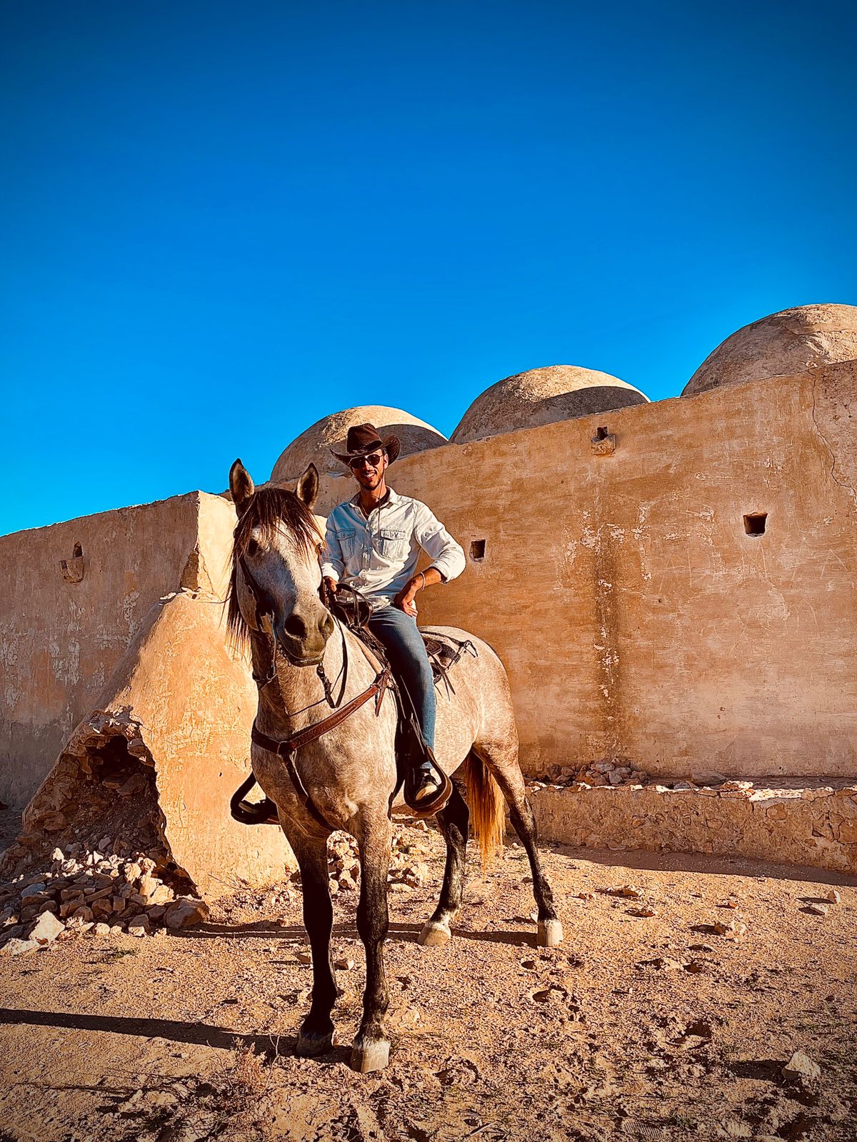 Horse 6