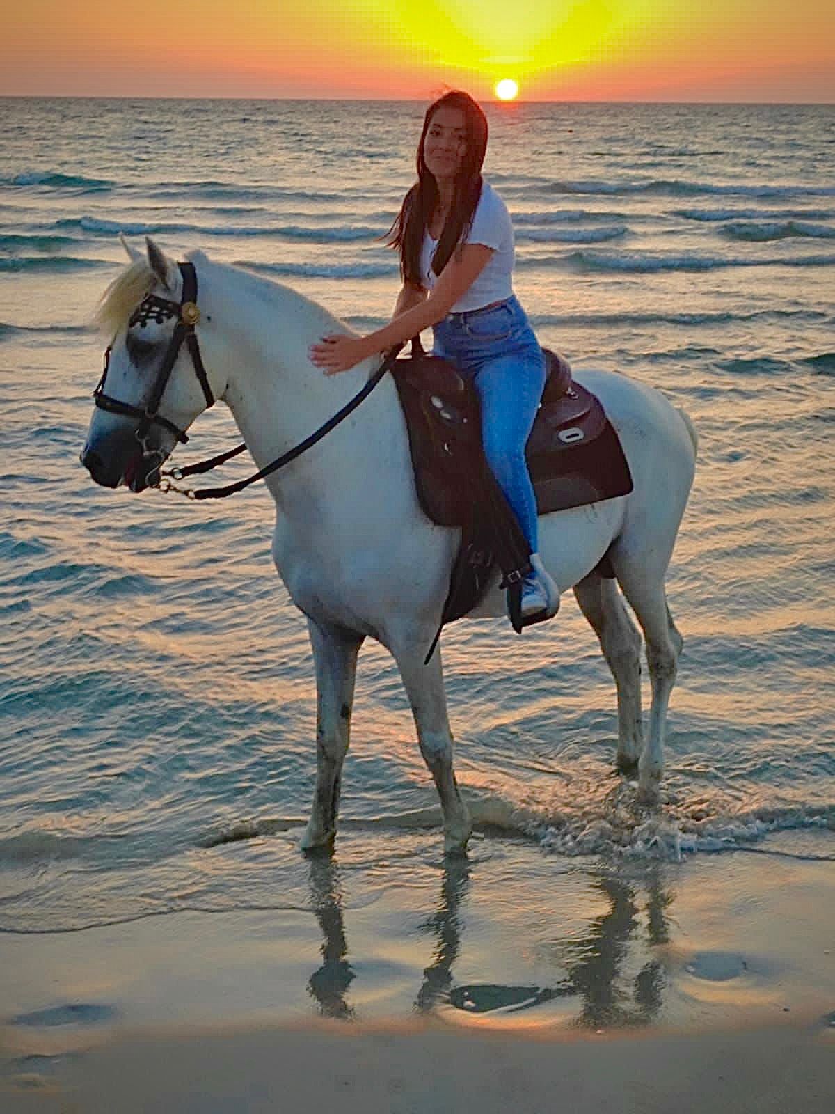 Horse 7