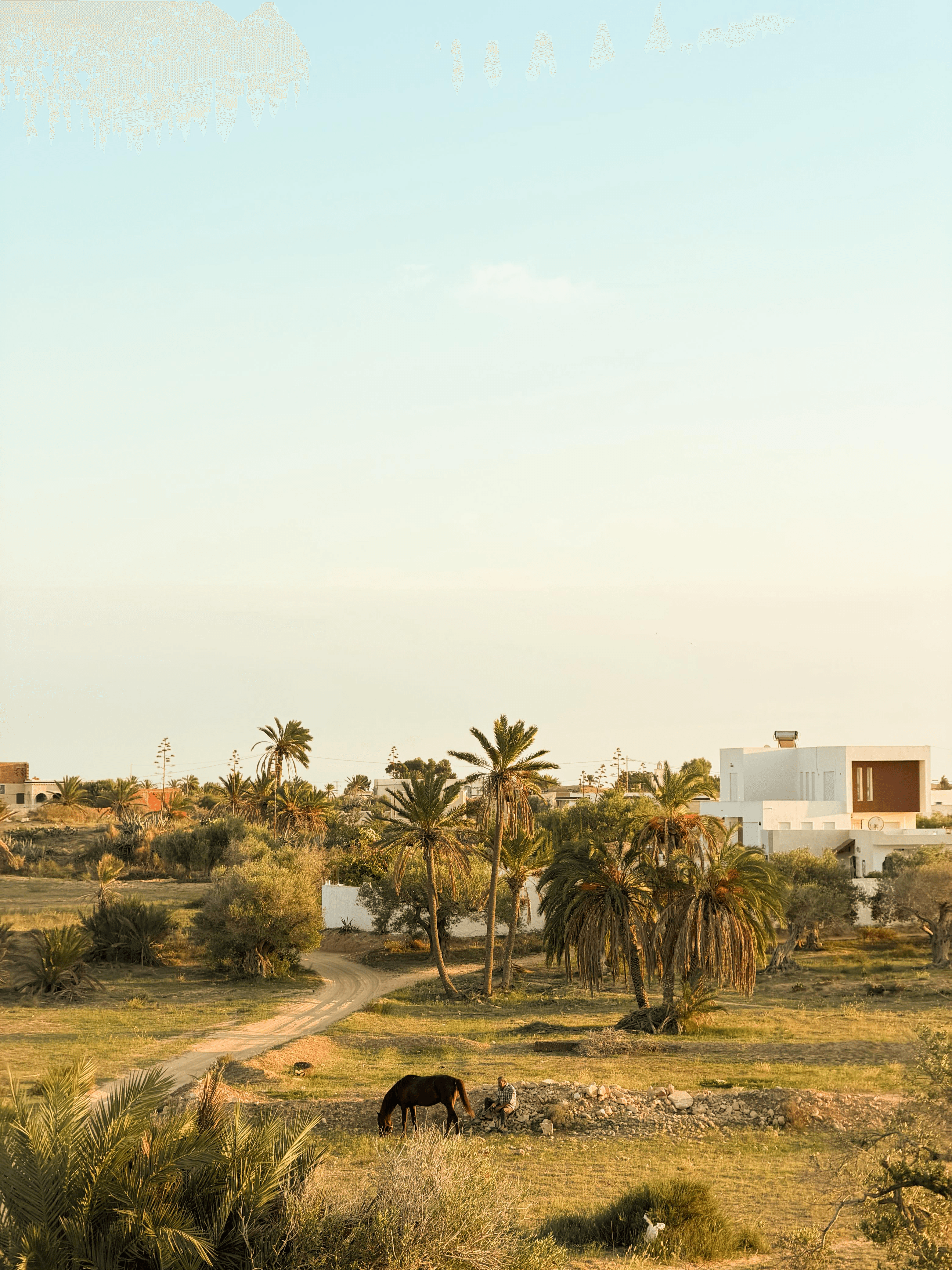 Ranch Mezraya Landscape